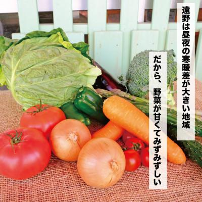 ふるさと納税 遠野市 【発送月固定定期便】遠野ふるさと野菜便 野菜ソムリエ 厳選 詰め合わせセット 岩手県遠野市 全4回 |  | 01