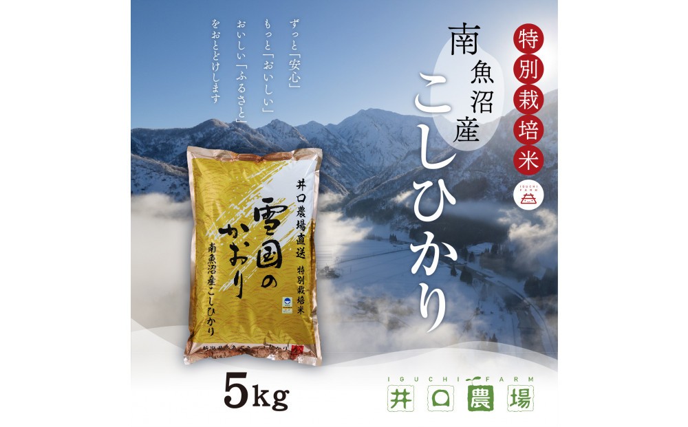 
                  【令和8年産新米予約】南魚沼産コシヒカリ5kg  井口農場こだわりの特別栽培米【銘柄米 精米 こしひかり コシヒカリ 魚沼産 南魚沼産 新潟米 新潟県産 国産米 ご飯 御飯 ごはん お米 米 こめ コメ】【2026年10月上旬ごろより順次発送開始】
                