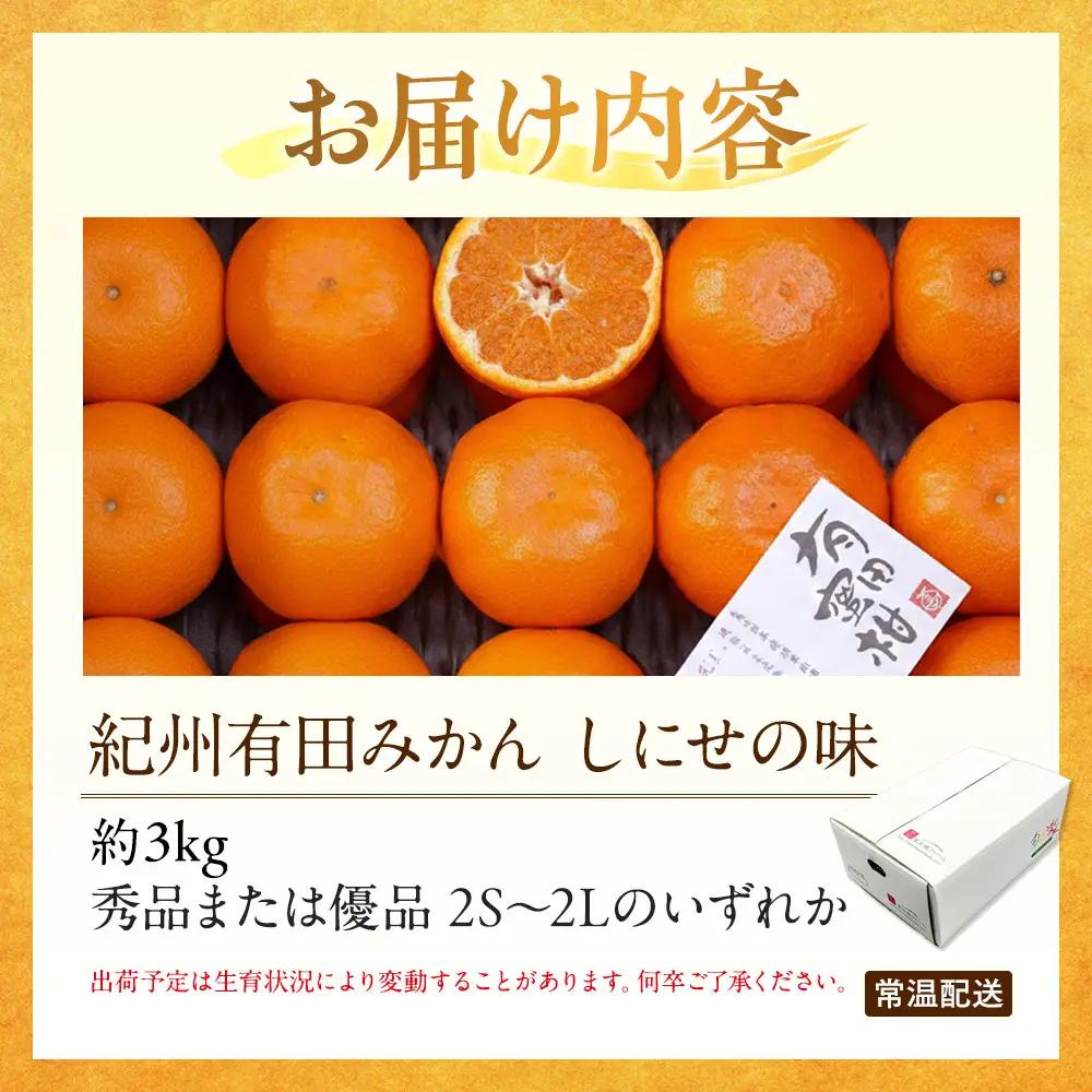 有田みかん 約3kg みかん 2S～2Lのいずれか 秀品または優品 しにせの味