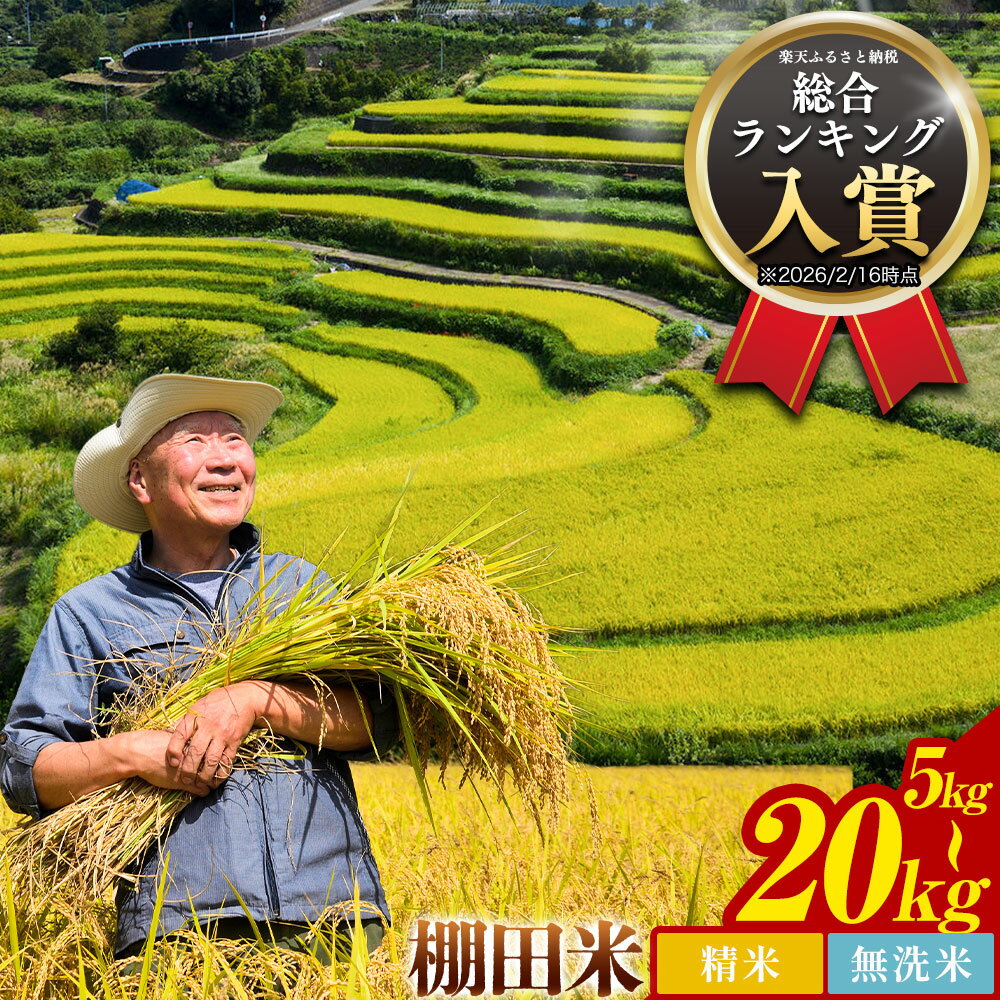 【ふるさと納税】棚田米 5kg～20kg 生活応援企画 米 無洗米 送料無料 徳島県 佐那河内村 棚田米 白米 7-14営業日発送