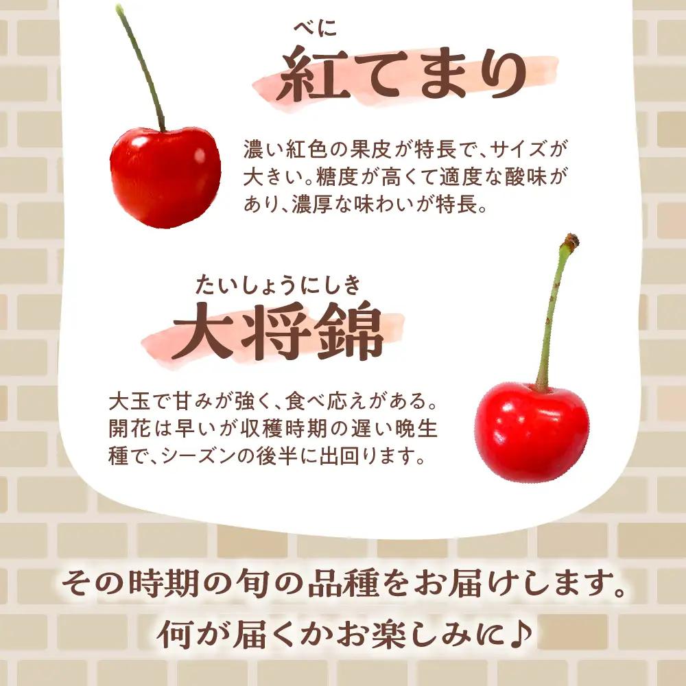【先行予約】 令和9年産 さくらんぼ 300g 品種おまかせ さくらんぼ