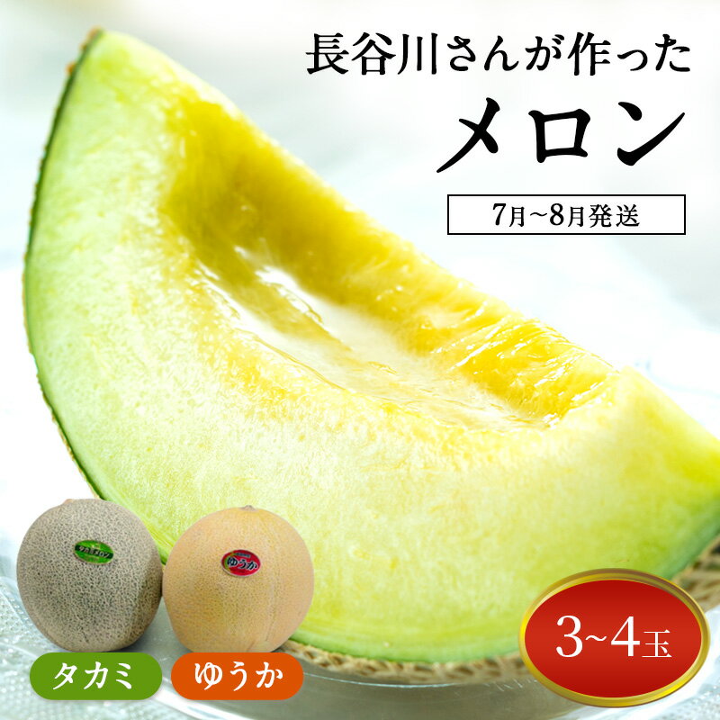 【ふるさと納税】【先行予約2025年産】長谷川さんが作ったメロン3～4個（ゆうか・タカミ）　7月～8月発送　青森県鰺ヶ沢町産　お届け：2026年7月25日～2026年8月10日