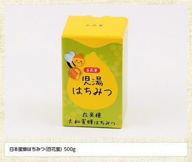 【数量限定】国産はちみつ（百花蜜）500g【蜂蜜 国産 九州産 宮崎県産 川南町産】[H5702]