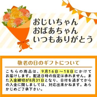 i006-k 【敬老の日ギフト】神酒造の一升瓶の飲み比べ！「千鶴・いも神・もみじのしずく」(各1800ml×3本) 代表銘柄をはじめ麦焼酎をブレンドしたこだわりの本場鹿児島の芋焼酎をご家庭で！ 芋焼酎 一升瓶 飲み比べ アルコール お酒 宅飲み 家飲み ギフト 贈り物 敬老の日【神酒造】