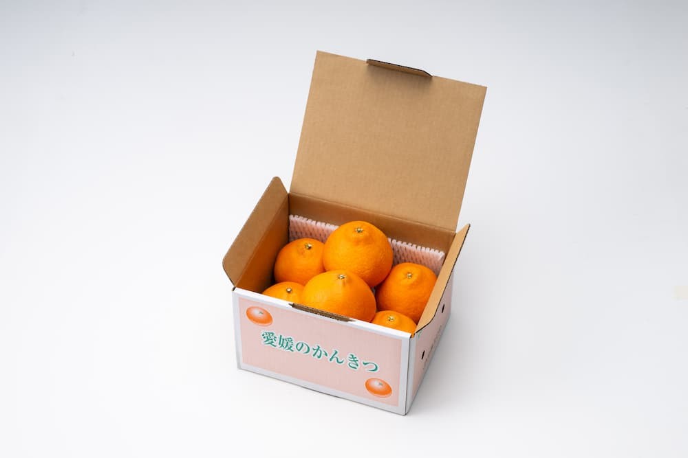 愛媛が誇るブランドみかん「紅まどんな」｜箱詰めイメージ（※ご家庭用）
