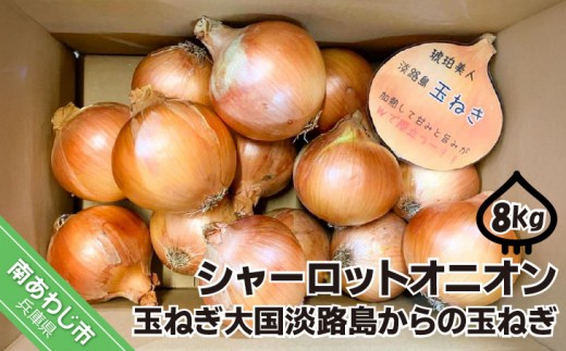淡路島極熟玉葱　シャーロットオニオン【8kg】　玉ねぎ大国淡路島からの玉ねぎ