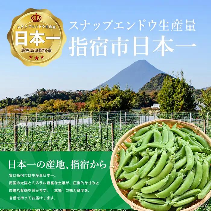 2027年2月上旬以降発送 ご家庭用スナップエンドウ約1kg IB092-001