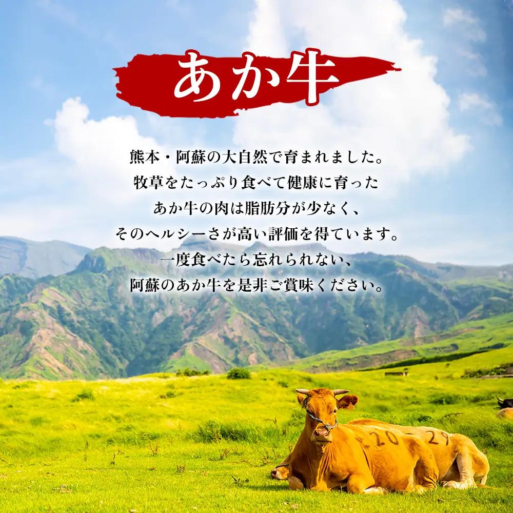【定期便 全3回】肥後の赤牛ハンバーグ150g×10個 阿蘇牧場 熊本県 阿蘇市