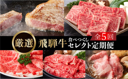 《定期便5回》飛騨牛食べつくし厳選セレクト 5か月 焼肉 サーロイン肩ロース ロース モモ すき焼き しゃぶしゃぶ 食べ比べ 牛肉 国産 焼き肉 赤身 A4 A5 等級 だるまミート 岐阜県 白川村 贅沢 冷凍 135000円 [S407]