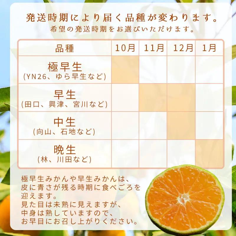 【1月発送】家庭用 有田みかん 和歌山 S～Lサイズ大きさお任せ 5kg / みかん フルーツ 果物 くだもの 有田みかん 蜜柑 柑橘【ktn007A-1】