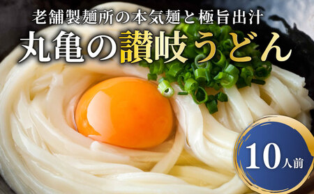 讃岐うどん ゆで麺 10人前 出汁付き うどん