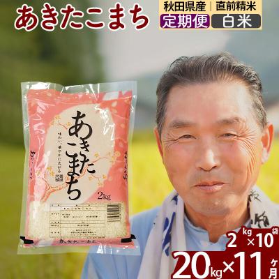 ふるさと納税 北秋田市 令和7年産《定期便11ヶ月》秋田県産あきたこまち20kg 白米|oomr-10811