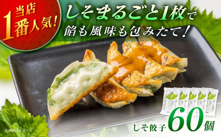 【お中元対象】【5パック】餃子屋ヒロの 人気のしそ餃子【餃子屋ヒロ】開成町 餃子 点心 惣菜 冷凍[BDAS003-3]