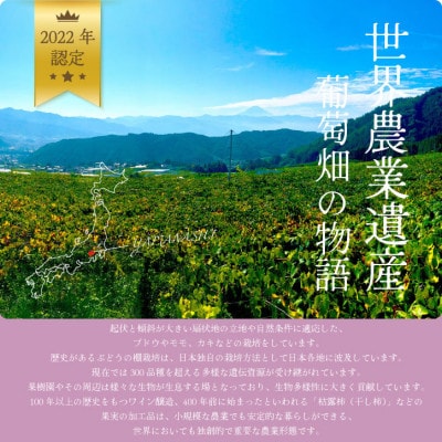 山梨市 シャインマスカット(約2kg)3～4房入り 化粧箱入り ふるさと納税【配送不可地域：離島・沖縄県】