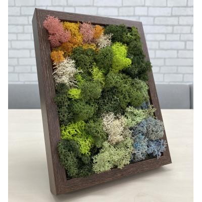 ふるさと納税 大和市 スカンディアモス アートワーク　枠カラー:ブラウン(19.6cm×14.8cm×H4〜5cm)