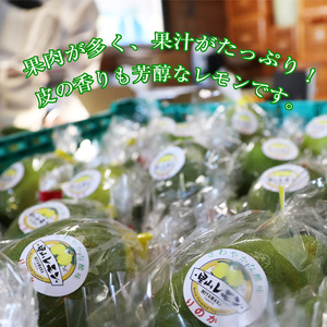 M569【里山レモンの会】宮若市特産品 レモン 約3kg【りのか】