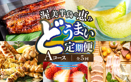 渥美半島の恵み どうまい 定期便 全5回 Aコース （ いちご 焼き鳥 うなぎ メロン 豚肉 ハム ソーセージ ) 青うなぎ 名古屋コーチン マスクメロン ご当地 人気 頒布会