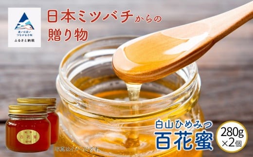【石川県小松市産】純粋日本はちみつ 白山ひめみつ 280g×2 ｜ 石川県 小松市 【白山ひめみつ園】