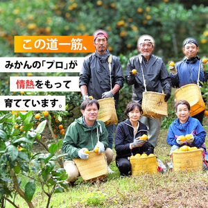 【ふるなびWEEK対象】家庭用 有田 みかん サイズ混合(2S～2L) 5kg+250g ※11月発送(完熟) / 温州みかん 有田みかん 訳あり 甘い 光センサー選果 果物 柑橘 和歌山 ※北海道・