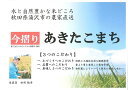 【ふるさと納税】＼美味しい状態でお届け／ 令和6年産 あきたこまち 今摺り 10kg 精米 白米 農家直送 ＼注文後にもみずり・精米 新鮮な状態でお届け／ ふるさと納税 あきたこまち ふるさと納税 米 令和6年 ふるさと 人気 ランキング [H12301]