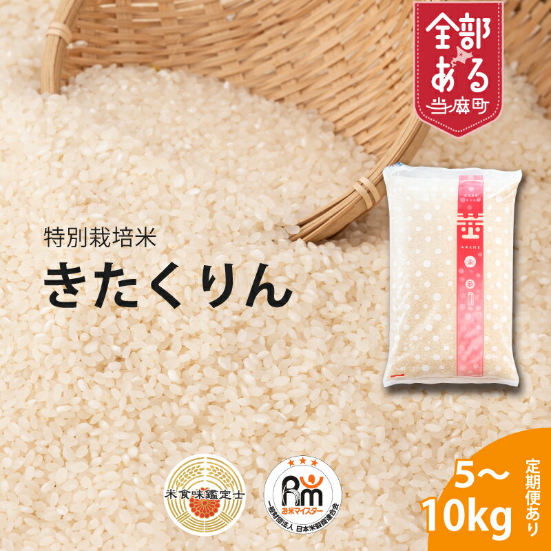 【ふるさと納税】きたくりん特別栽培米 ※令和7年産※舟山農産 北海道米 送料無料（選べる 単品／定期便）5kg 10kg 1回 3回 6回 12回 米食味鑑定士 お米マイスター 監修 栽培 安全安心 食育 お取り寄せ 北海道 当麻町 米どころ