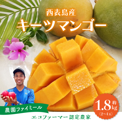 2026年 先行予約 マンゴー 約1.8kg 2～4玉 希少品種濃密 キーツマンゴー 高糖度保証！農園ファイミール 果物 フルーツ