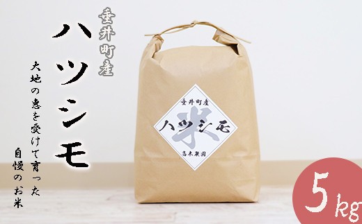 
                  ≪令和6年産≫ 岐阜県産ハツシモ5kg
                