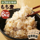 【ふるさと納税】【定期便3回】熊本県産 もち麦 合計6kg 2kg×3回 大麦 ダイシモチ モチ麦 食物繊維 令和2年産 九州産 国産 送料無料 【入金確認後の翌月以降、3月・7月・11月にお届け】