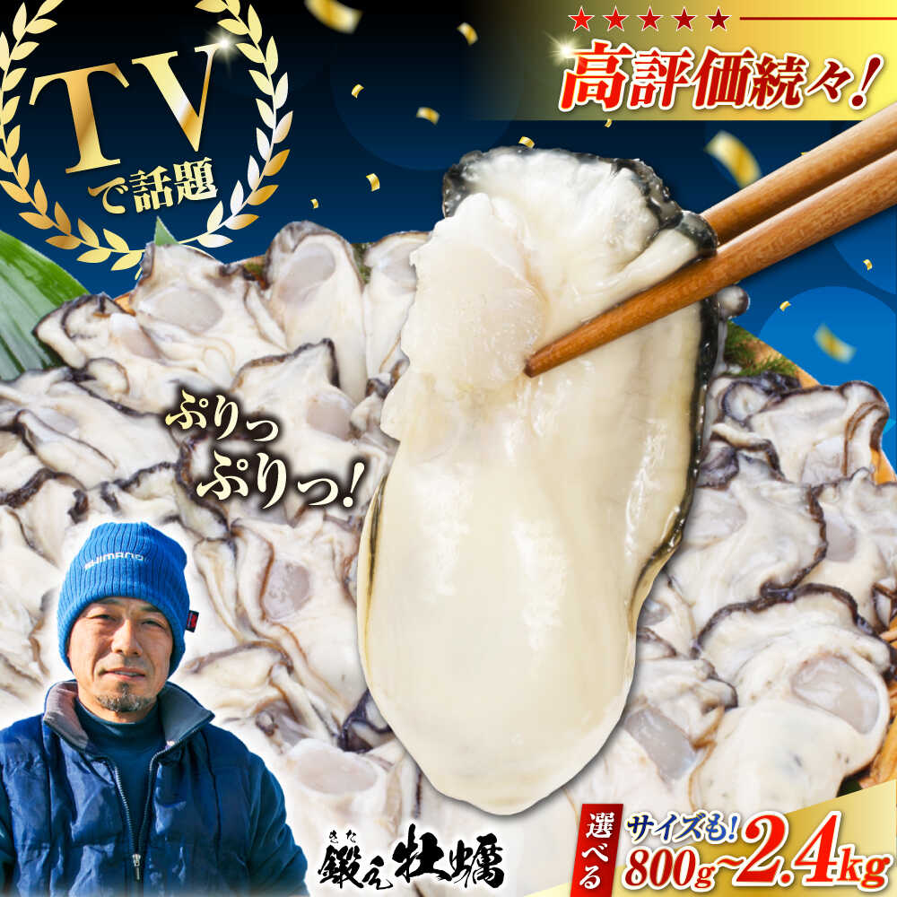 【ふるさと納税】牡蠣 TVで話題！【冷凍】【選べるサイズ・内容量】鍛え牡蠣 むき身 約800g〜2.4kg 広島県産 大粒 かき 人気 海鮮 BBQ 簡単 レシピ ギフト 牡蠣 かき カキ 冷凍 江田島市/有限会社寺本水産[XAE024] 牡蠣 冷凍 むき身 殻付き カキ 生牡蠣 カキフライ 広島牡蠣