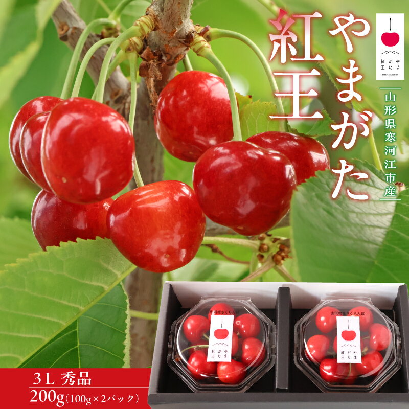 【ふるさと納税】【先行予約】 令和8年産 さくらんぼ やまがた紅王 3Lサイズ 秀品 200g （100g×2パック） ダイヤパック 2026産 山形県産【2026年6月中旬頃〜6月下旬頃発送予定】※配送不可 沖縄・離島フルーツ 果物 果実 山形産 直送 お取り寄せ