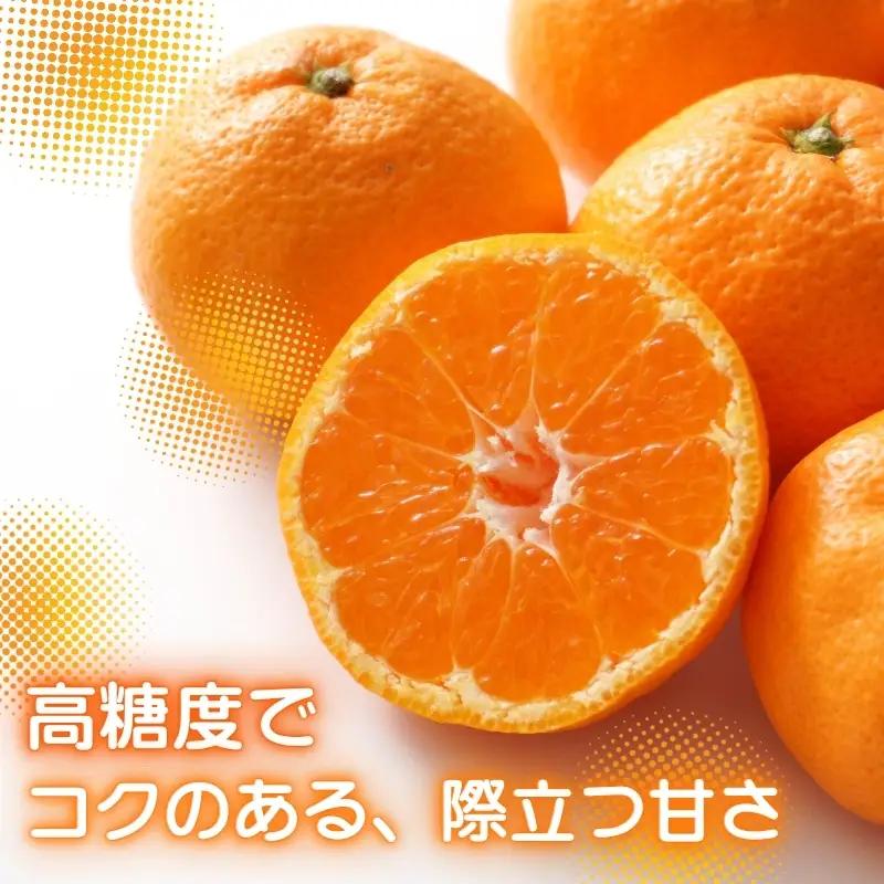 先行予約 2026年11月下旬より発送 【 農林水産大臣賞受賞 】 甘さが違う極上みかん 5kg 