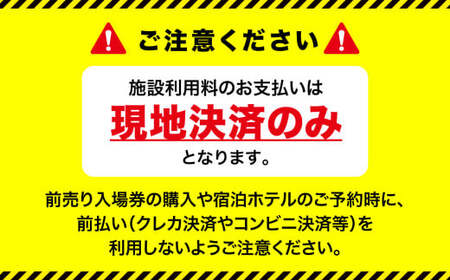 スパリゾートハワイアンズ   ファミリー向け 王道日帰りプラン 施設利用券10,000円分（5,000円分×2枚）＋ゼリー12個詰め合わせセット | 利用チケット 入場券 ホテルハワイアンズ モノリス