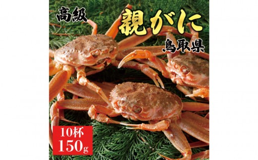 【2026年11月発送】鳥取県産 特撰 親がに 姿【セコガニ】（なま）150g　10杯
