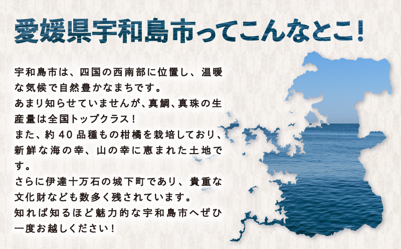 ホタルイカ 沖漬け 100g × 5 パック 宇和島鮮魚 海鮮 烏賊 いか イカ ホタルイカ 沖漬 海の幸 魚介 水産加工品 冷凍 小分け パック お手軽 便利 おつまみ 肴 つまみ ご飯 の お供 