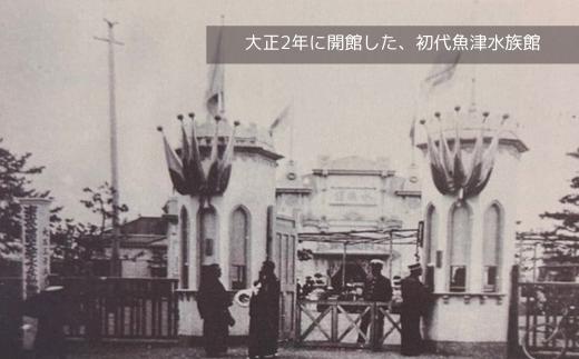 魚津水族館 入館年間パスポート引換券/一般(高校生以上)※北海道・沖縄・離島への配送不可