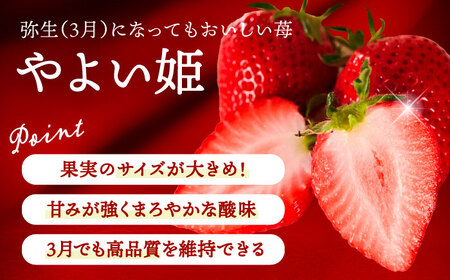 【先行予約】 ＼毎年12月より順次発送／ 超大玉 紅ほっぺorやよい姫 1粒 果物 いちご フルーツ 愛西市 / くぼ苺農園 【配達不可：北海道・沖縄・離島】[AECJ020]