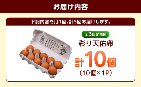 【3回定期便】彩り天佑卵 平飼いたまご 10個  [AIDL007] 卵