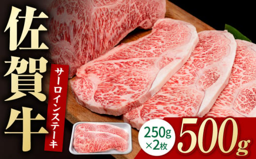 佐賀牛 贅沢 サーロインステーキ 250g×2枚（計500g）【株式会社いろは精肉店】 [IAG051]