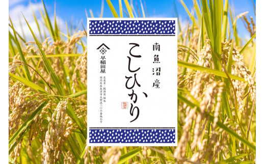 【ふるさと納税】【令和７年産新米予約】南魚沼産コシヒカリ ３ｋｇ　塩沢産コシヒカリ【2025年10月上旬より順次発送予定】