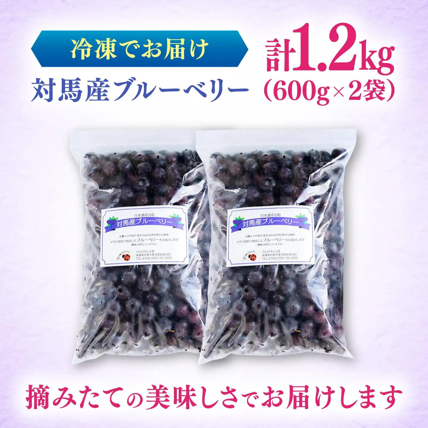 大容量 対馬産 ブルーベリー 1.2kg（ 冷凍 ） [WBG001] 果物 フルーツ ベリー 冷凍 ブルーベリー旬 ブルーベリー