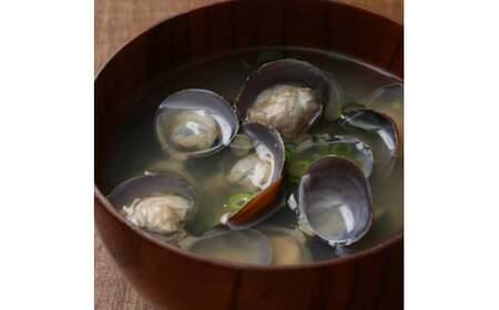 厳選！網走湖産大粒天然大和しじみ2.5kg 【 ふるさと納税 人気 おすすめ ランキング しじみ シジミ 蜆 貝 しじみ貝 シジミ貝 蜆貝 海鮮 ダシ汁 味噌汁 2.5kg 新鮮 冷凍 料理 網走湖 