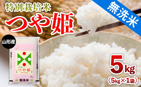 令和7年産 山形産 【無洗米】 特別栽培米 つや姫 5kg FY25-354