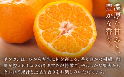 特撰 極甘 和歌山県産 濃厚 ポンカン 約2kg 有田マルシェ《1月中旬-2月下旬頃発送予定》和歌山県 日高町 国産 ぽんかん 柑橘 果物 フルーツ ギフト 送料無料