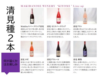 【十勝まきばの家ワイナリー】北海道池田町清見産清見種ワイン2本セット【Story of Kiyomi】