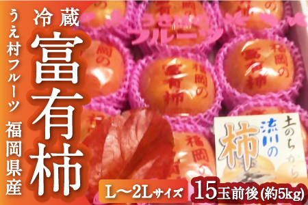 【先行予約】うえ村フルーツ 冷蔵富有柿 Lから２Lｻｲｽﾞ 15玉前後 (約5kg) 2025年12月中旬から12月下旬 出荷予定