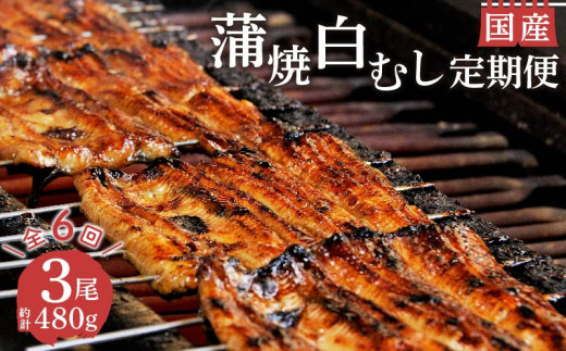 定期便 年 6回 うなぎ 鰻 蒲焼 国産 2尾 白むし 1尾 480g セット 真空 小分け 丑の日 沼津 うなよし 静岡県