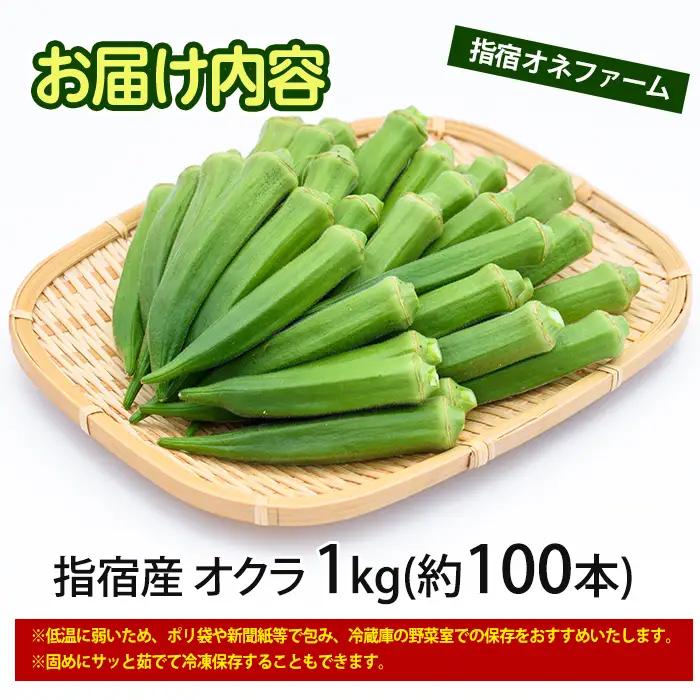 指宿(いぶすき)産オクラ 2kg オネファーム IB130-003