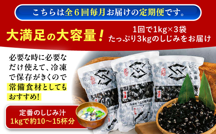 【全6回定期便】地元でも入手困難なレアサイズ！ Lサイズ 宍道湖産ヤマトシジミ(冷凍砂抜き済み)1kg×3袋(3kg) 島根県松江市/宍道湖漁業協同組合 [ALAZ007]