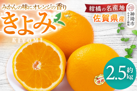 【先行受付 令和7年3月より発送】佐賀県産柑橘『清見』約2500g【フルーツ 果物 みかん オレンジ 柑橘 デザート ふるさと納税】(H108109)