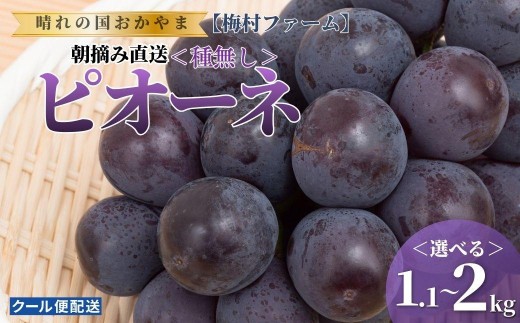 
                  【2026年発送 先行予約】＜選べる容量＞【梅村ファーム】朝摘み直送 ピオーネ 1.1〜2kg【030-a020-sku】
                